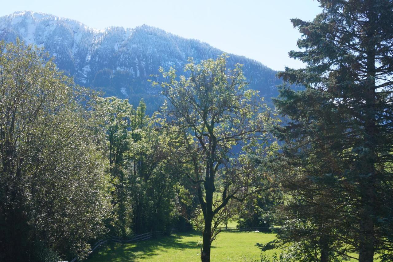 Apartment Alpenpanorama ゴールデック エクステリア 写真