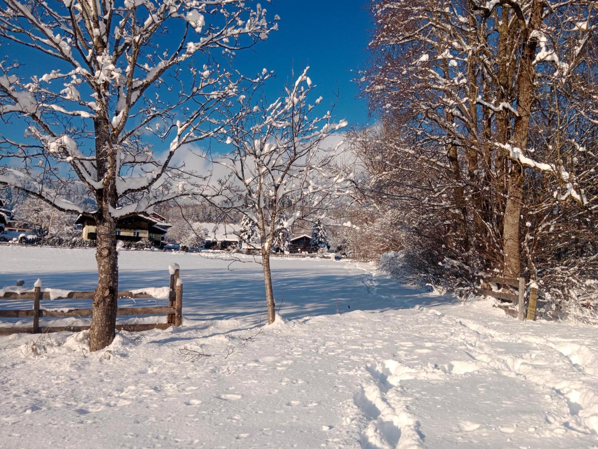 Apartment Alpenpanorama ゴールデック エクステリア 写真